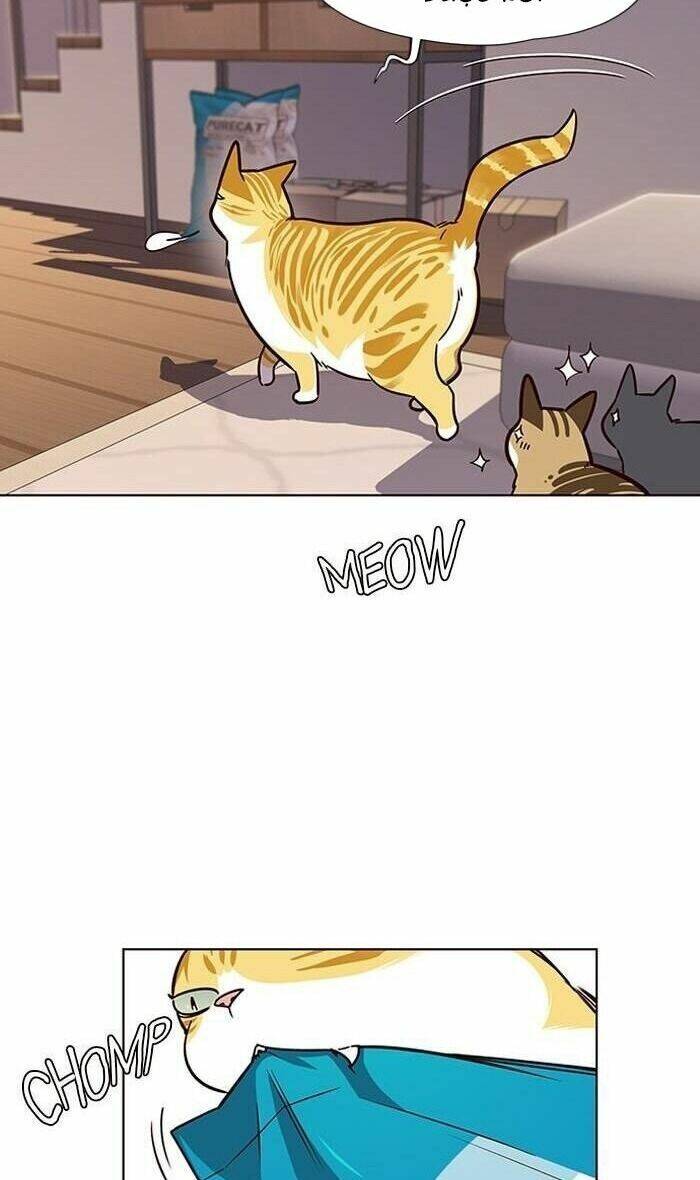 Hoá Thân Thành Mèo Chap 56 - Next Chap 57