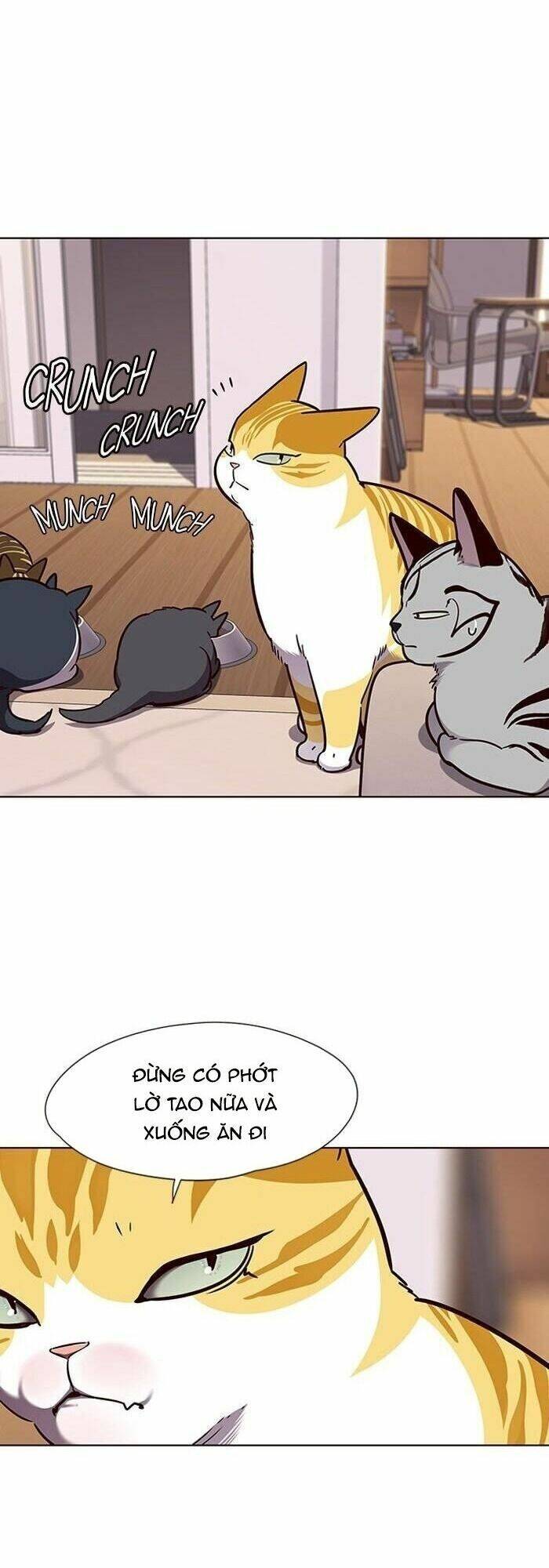 Hoá Thân Thành Mèo Chap 56 - Next Chap 57