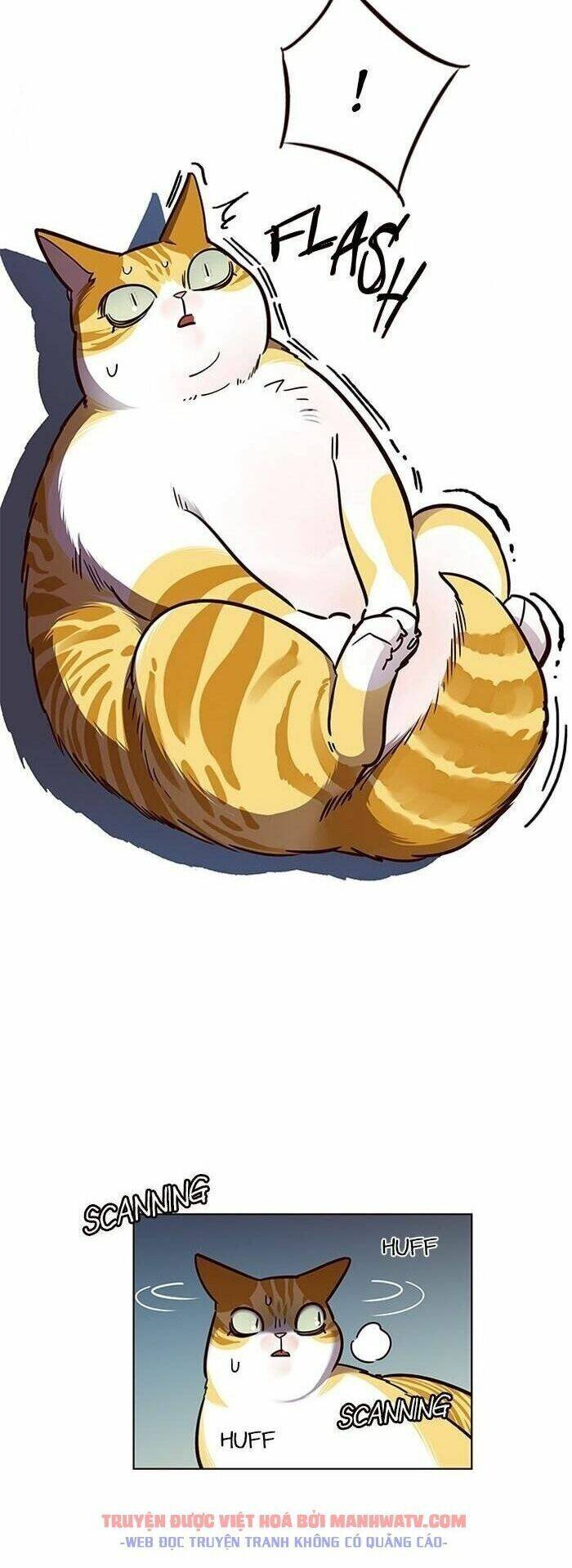 Hoá Thân Thành Mèo Chap 56 - Next Chap 57