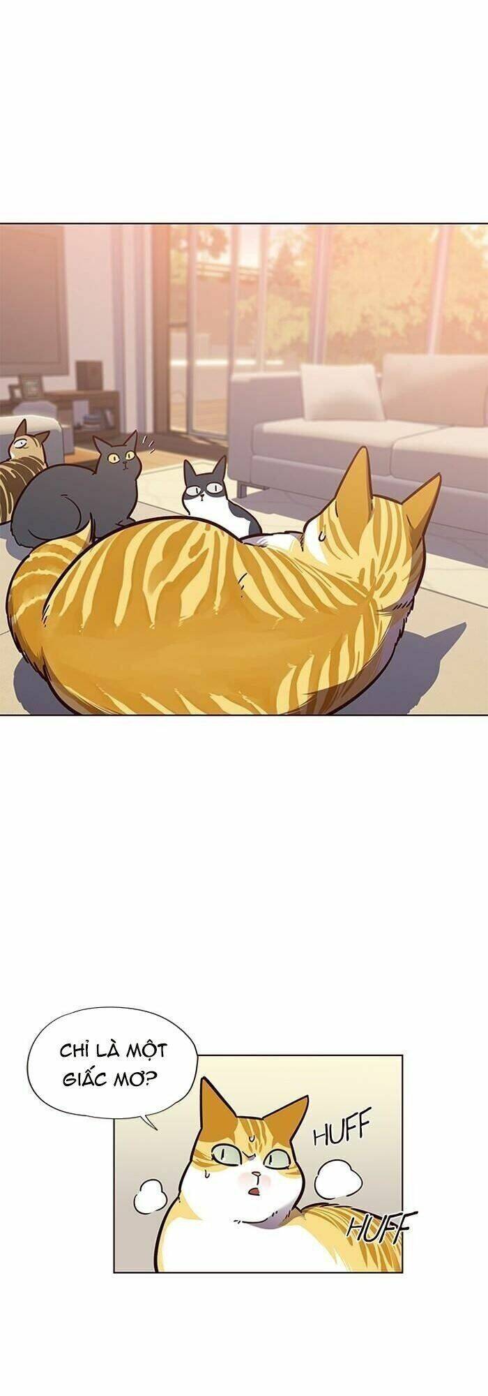 Hoá Thân Thành Mèo Chap 56 - Next Chap 57