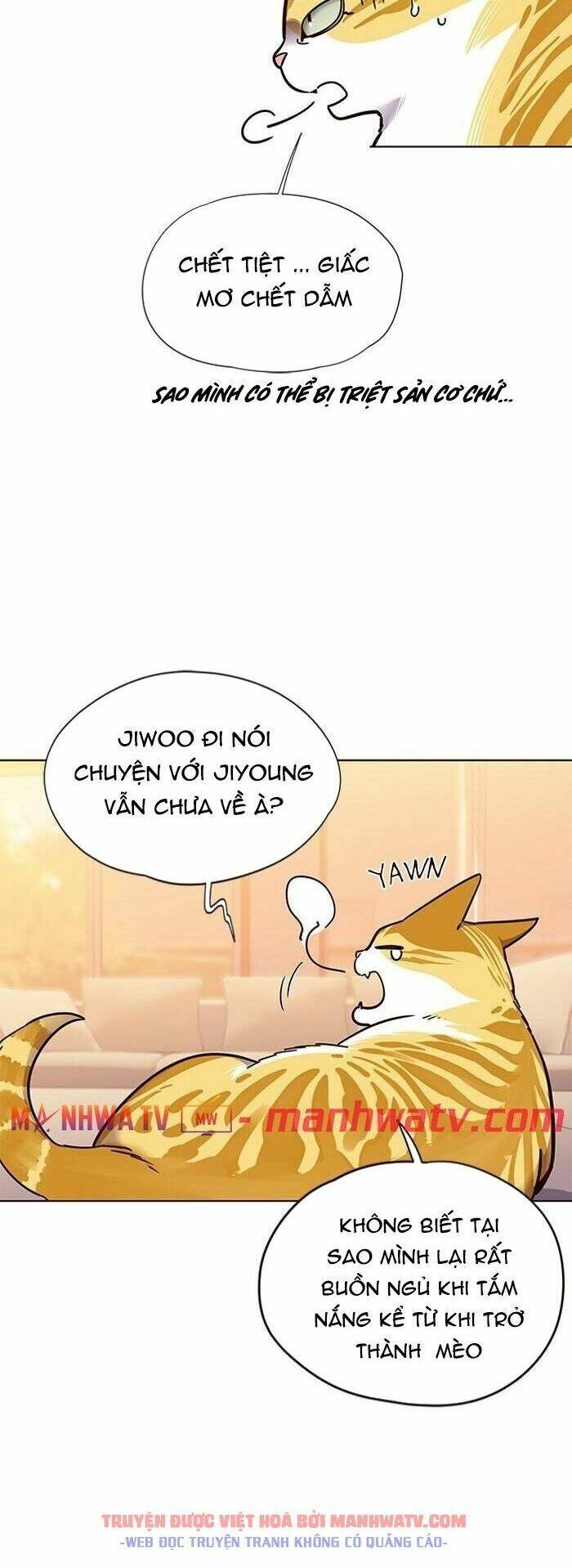 Hoá Thân Thành Mèo Chap 56 - Next Chap 57