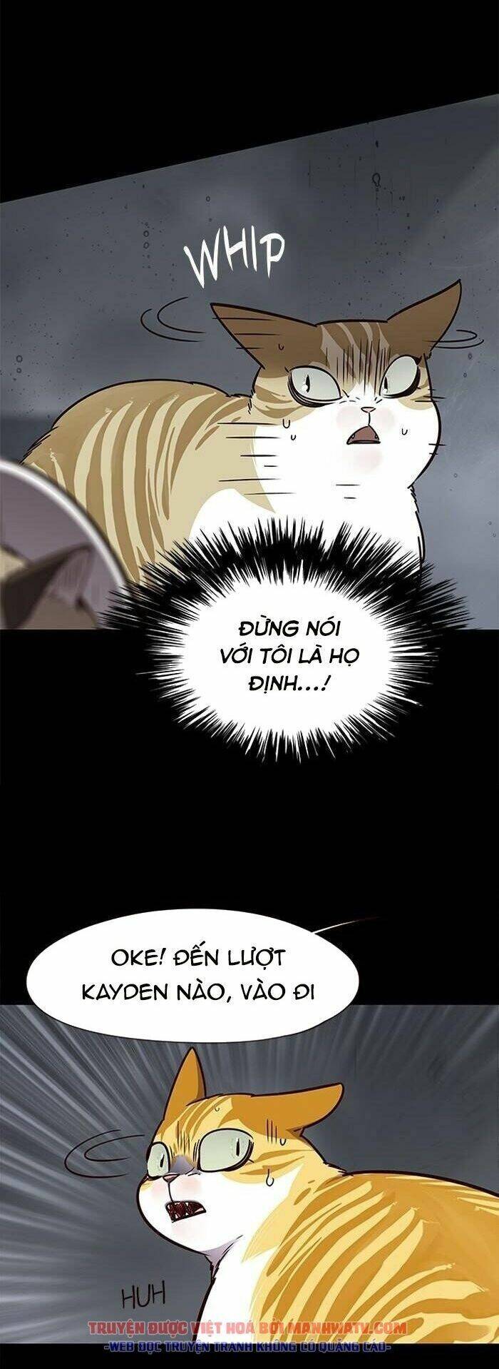 Hoá Thân Thành Mèo Chap 56 - Next Chap 57