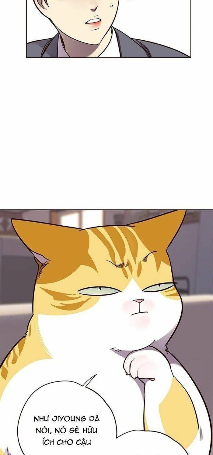 Hoá Thân Thành Mèo Chap 56 - Next Chap 57