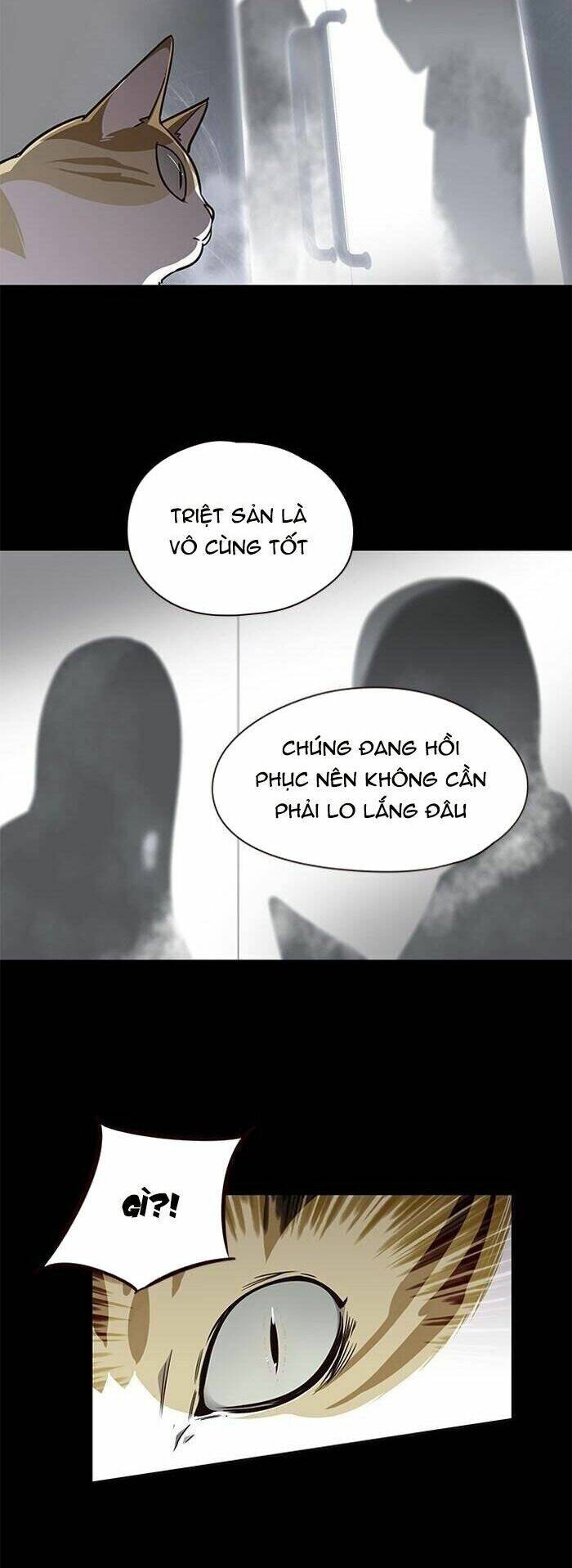 Hoá Thân Thành Mèo Chap 56 - Next Chap 57