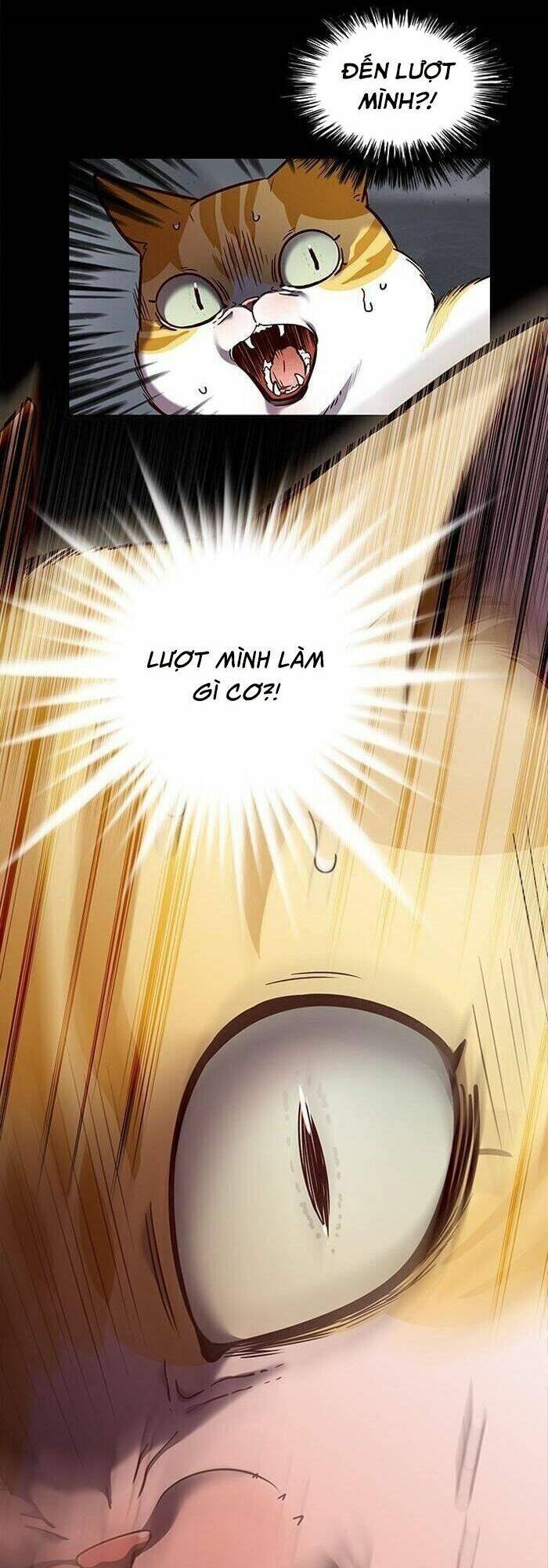 Hoá Thân Thành Mèo Chap 56 - Next Chap 57