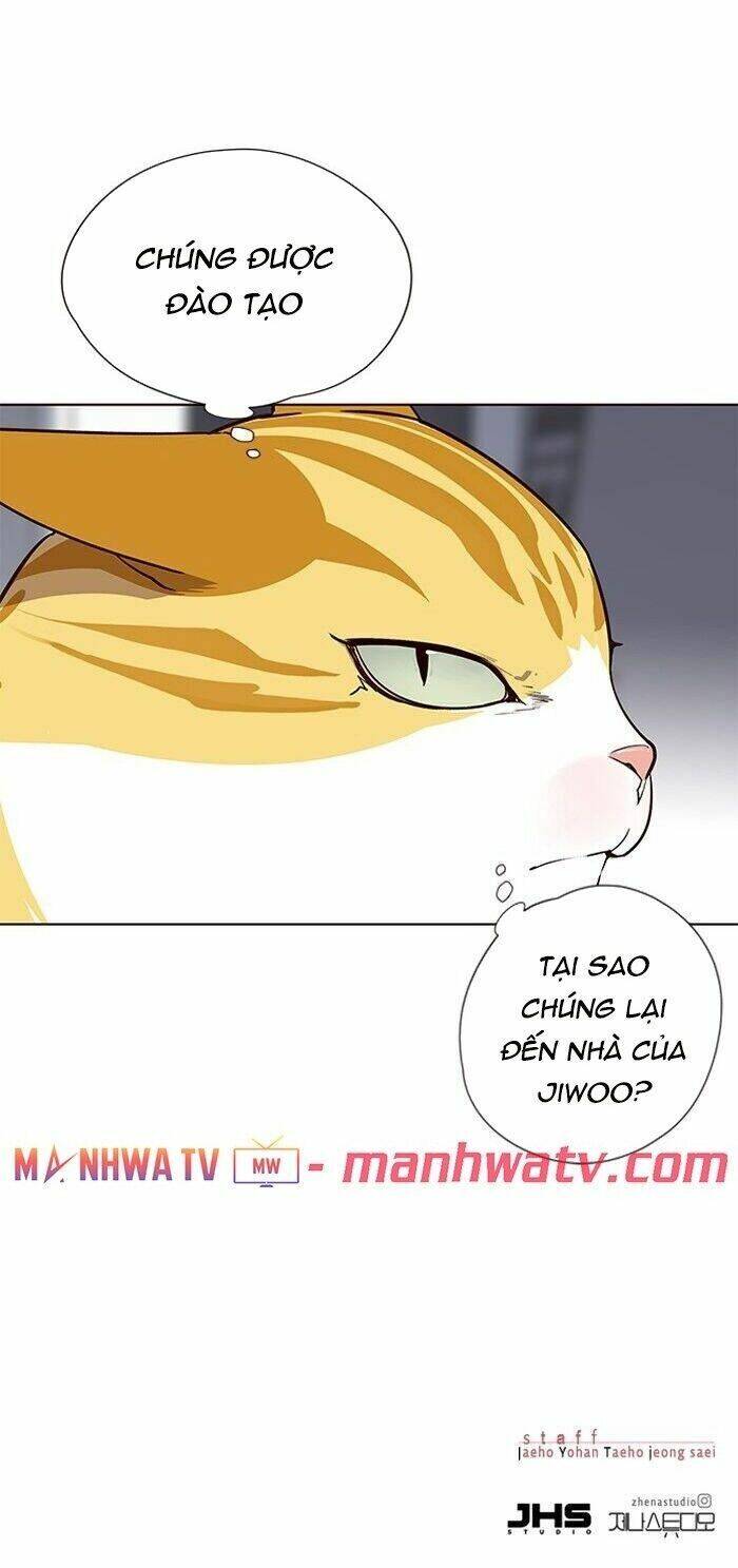 Hoá Thân Thành Mèo Chap 57 - Next Chap 58
