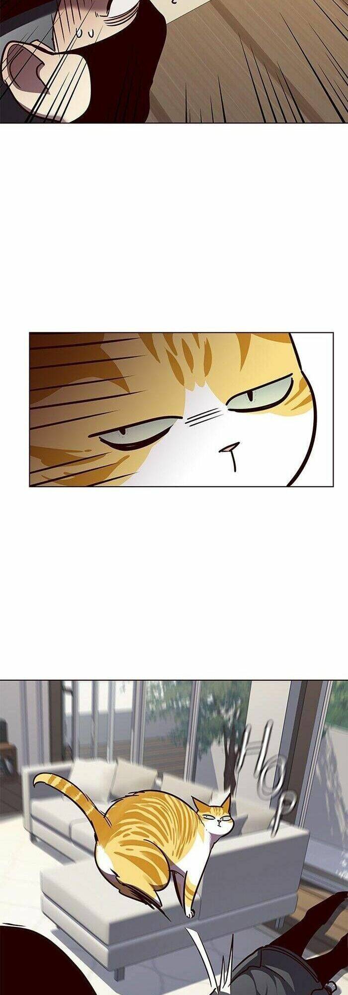 Hoá Thân Thành Mèo Chap 58 - Next Chap 59