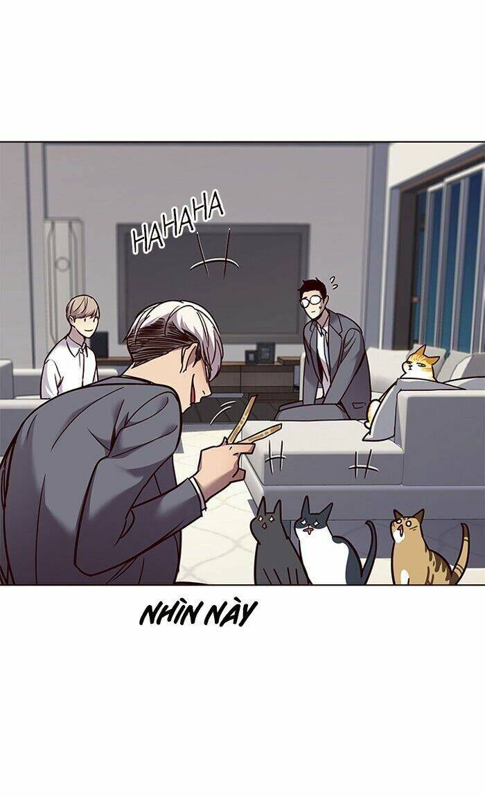 Hoá Thân Thành Mèo Chap 60 - Next Chap 61