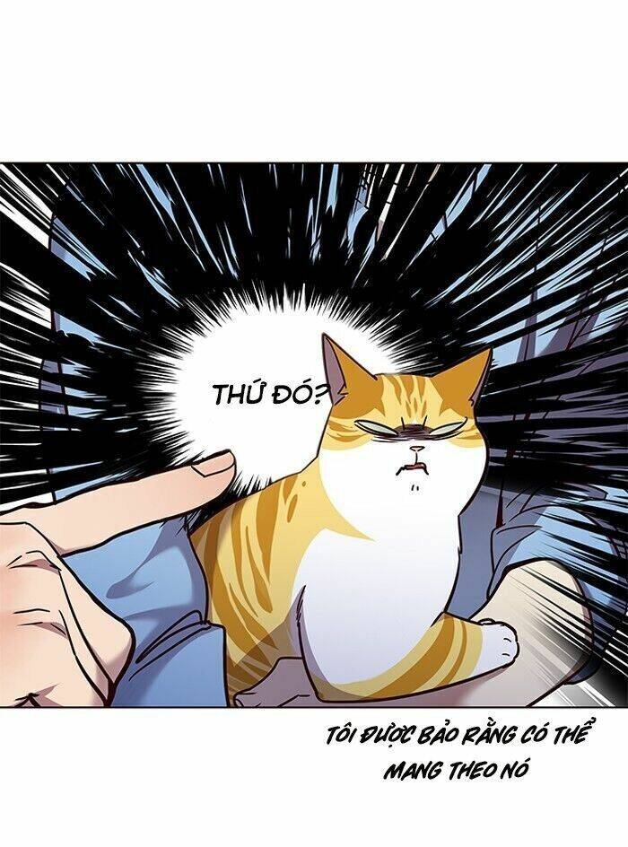 Hoá Thân Thành Mèo Chap 62 - Next Chap 63