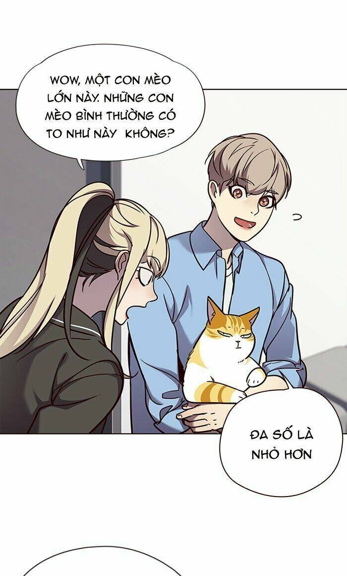 Hoá Thân Thành Mèo Chap 62 - Next Chap 63