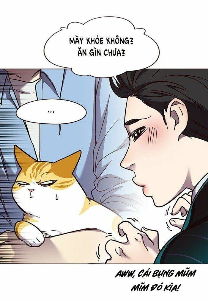 Hoá Thân Thành Mèo Chap 62 - Next Chap 63
