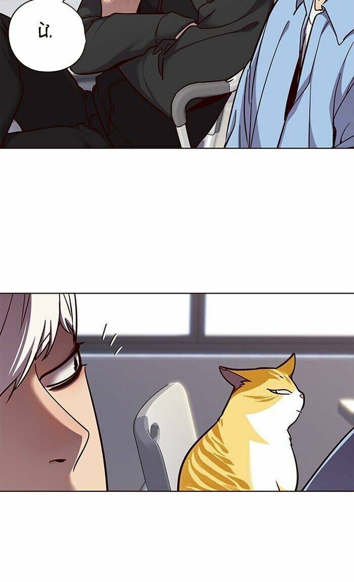 Hoá Thân Thành Mèo Chap 62 - Next Chap 63