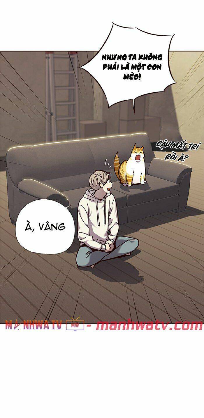 Hoá Thân Thành Mèo Chap 65 - Next Chap 66