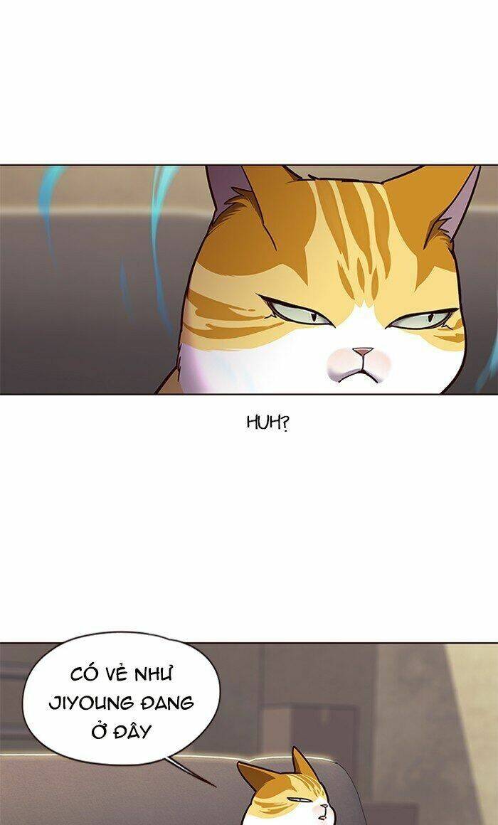 Hoá Thân Thành Mèo Chap 65 - Next Chap 66