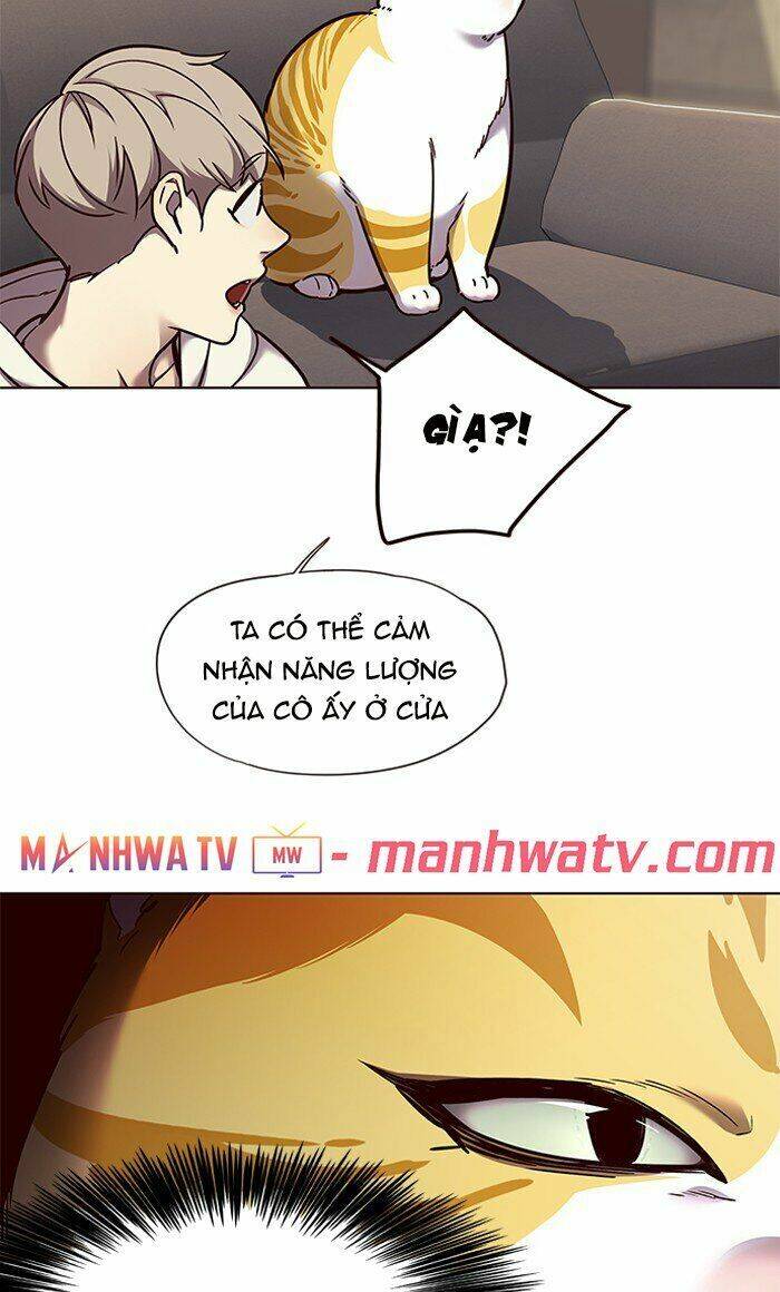 Hoá Thân Thành Mèo Chap 65 - Next Chap 66