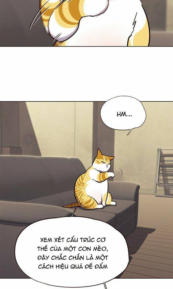 Hoá Thân Thành Mèo Chap 65 - Next Chap 66