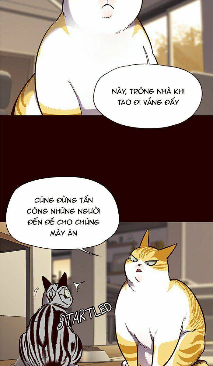 Hoá Thân Thành Mèo Chap 67 - Next Chap 68