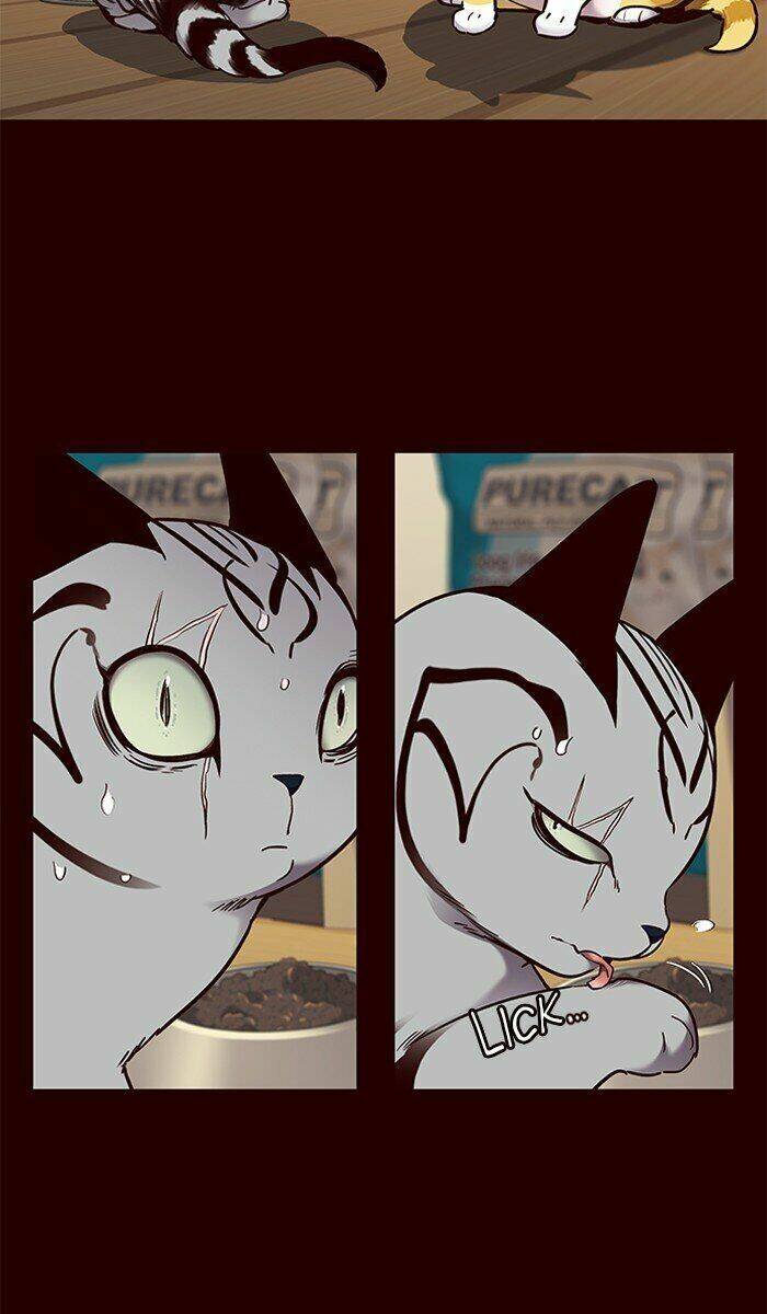 Hoá Thân Thành Mèo Chap 67 - Next Chap 68