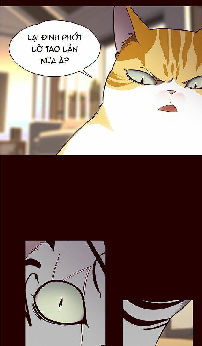 Hoá Thân Thành Mèo Chap 67 - Next Chap 68