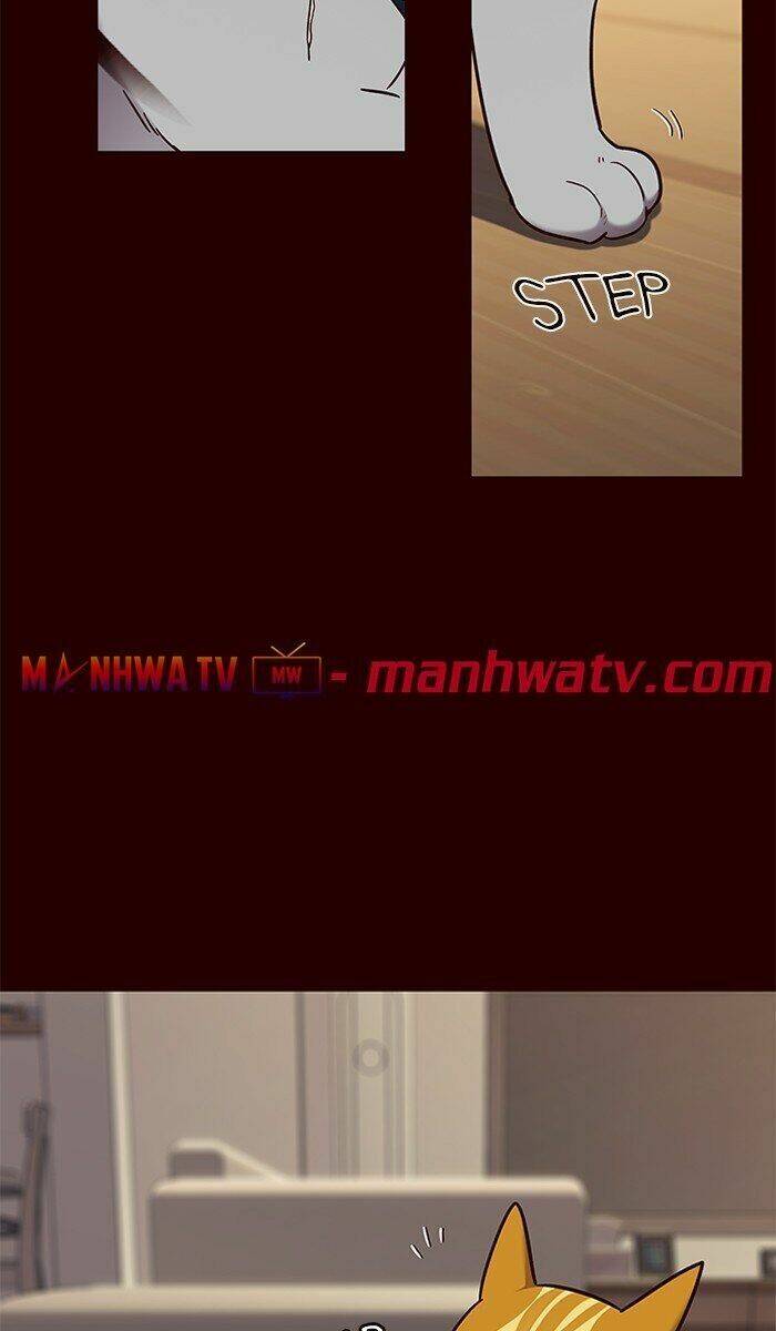 Hoá Thân Thành Mèo Chap 67 - Next Chap 68