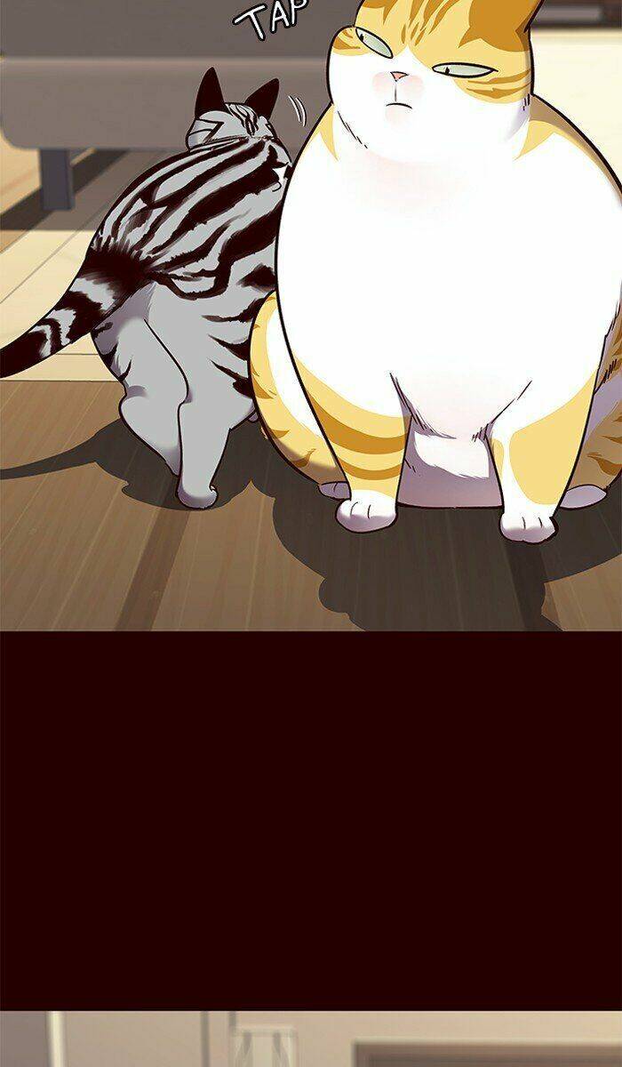 Hoá Thân Thành Mèo Chap 67 - Next Chap 68