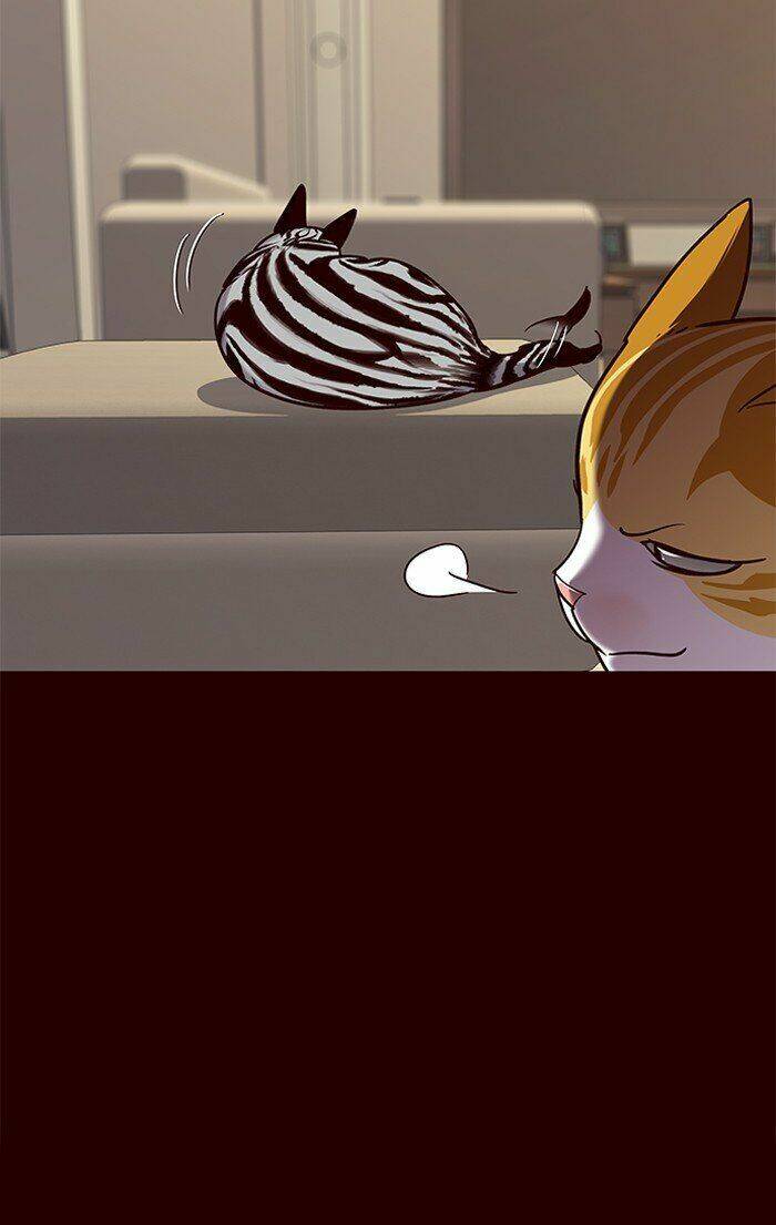 Hoá Thân Thành Mèo Chap 67 - Next Chap 68