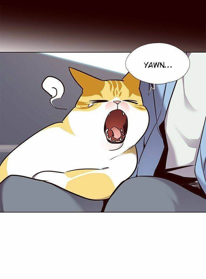 Hoá Thân Thành Mèo Chap 67 - Next Chap 68