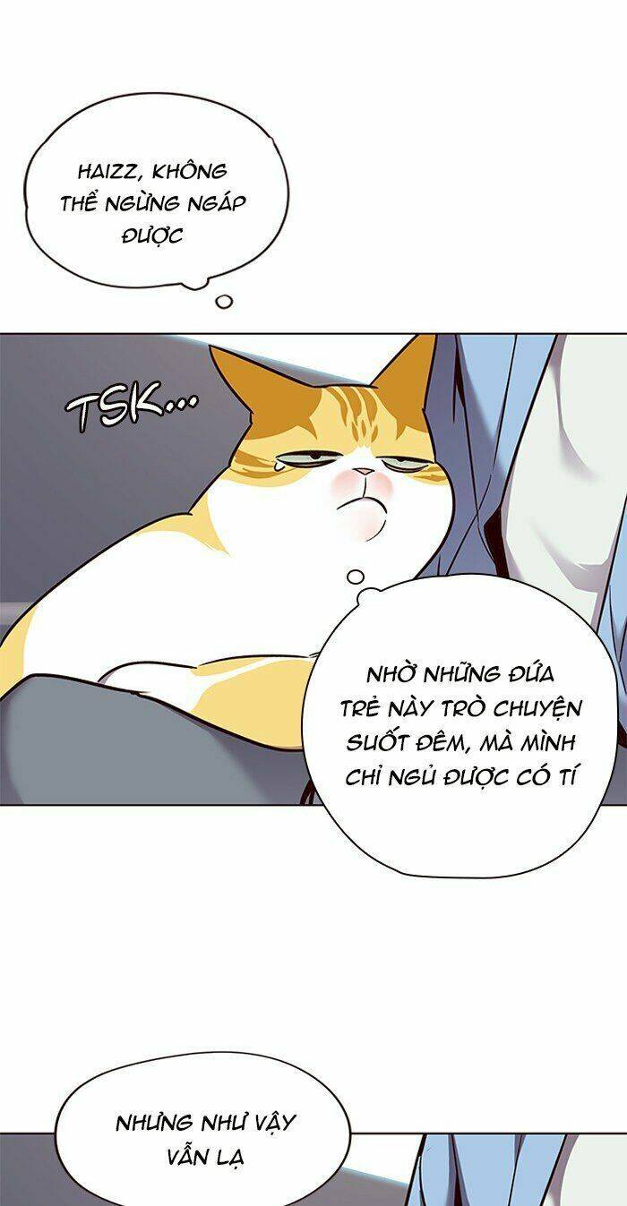 Hoá Thân Thành Mèo Chap 67 - Next Chap 68