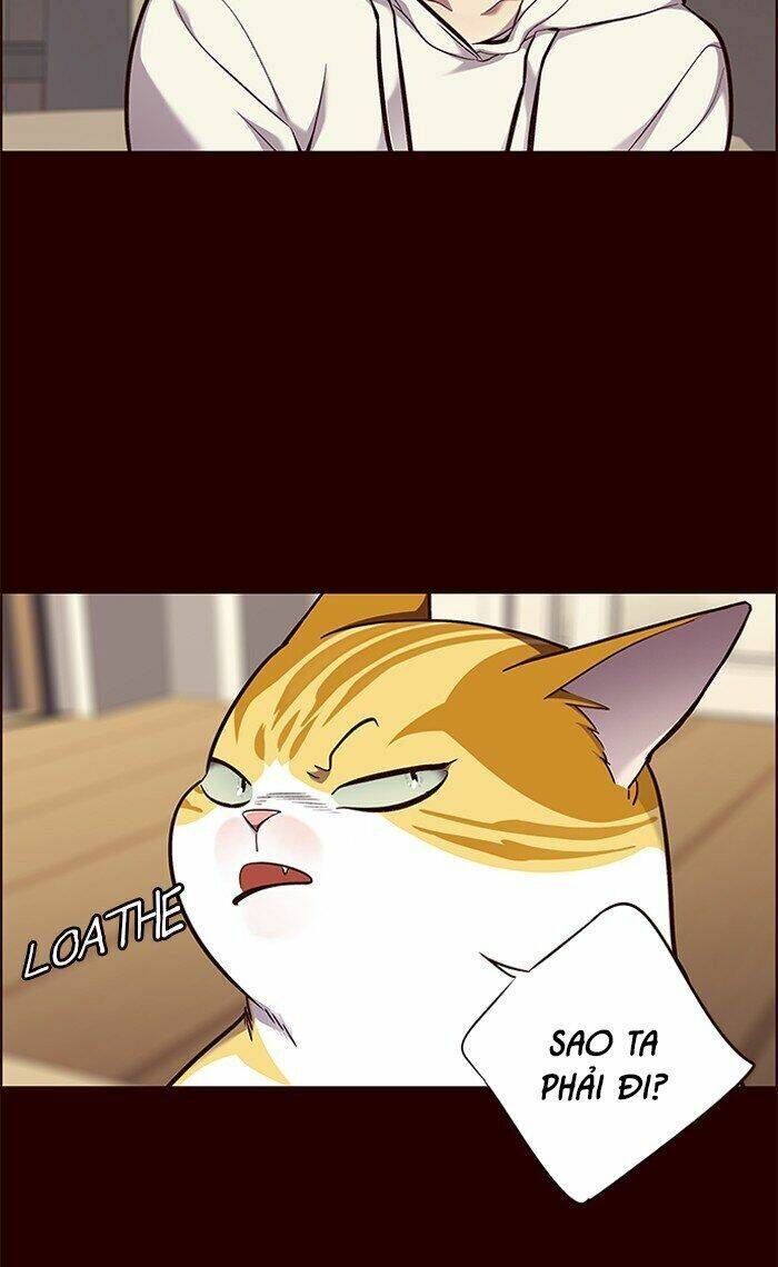 Hoá Thân Thành Mèo Chap 67 - Next Chap 68