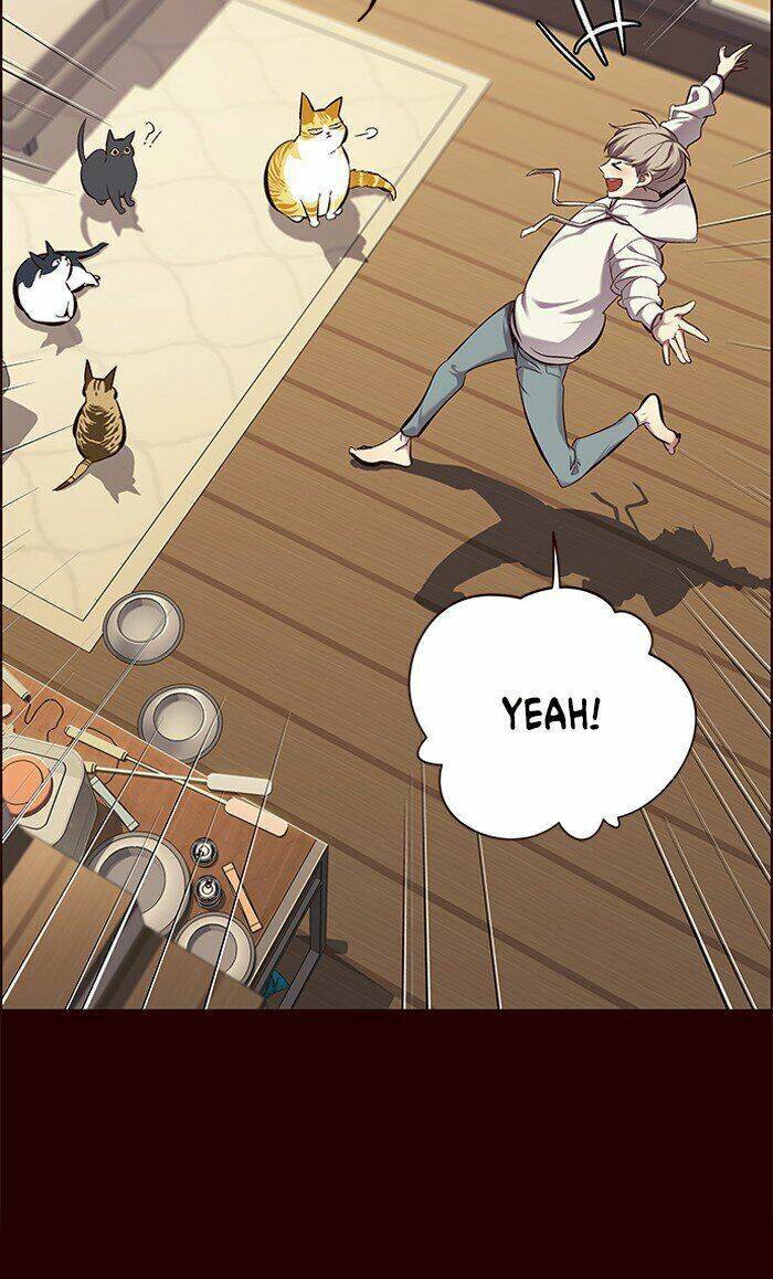 Hoá Thân Thành Mèo Chap 67 - Next Chap 68