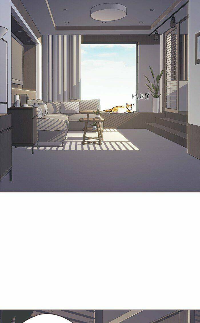 Hoá Thân Thành Mèo Chap 70 - Next Chap 71