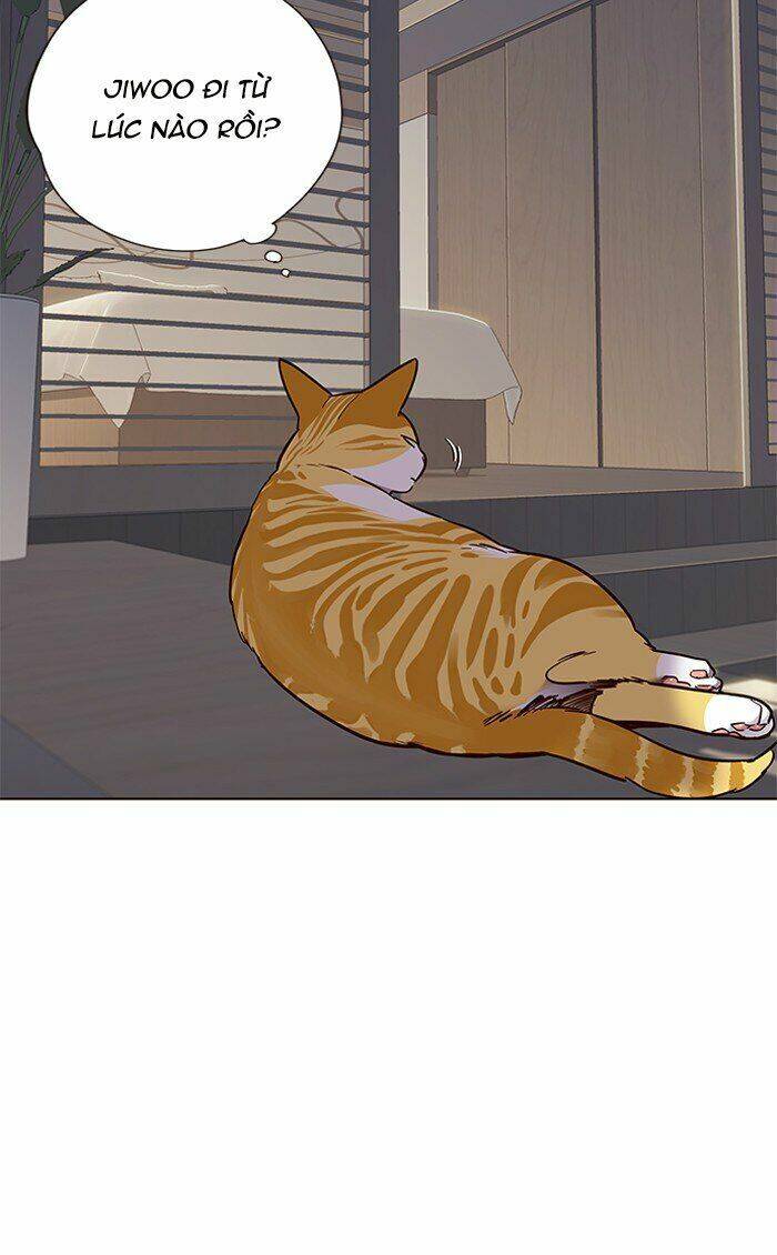 Hoá Thân Thành Mèo Chap 70 - Next Chap 71