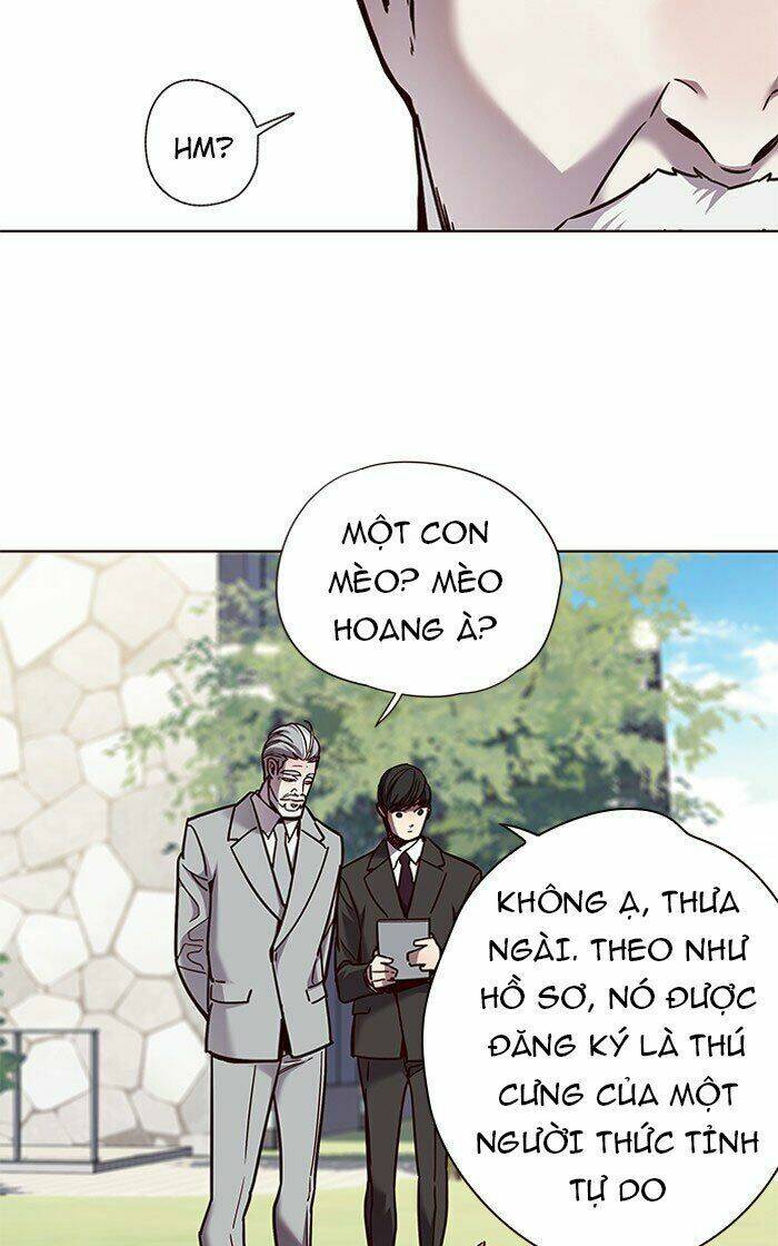 Hoá Thân Thành Mèo Chap 71 - Next Chap 72