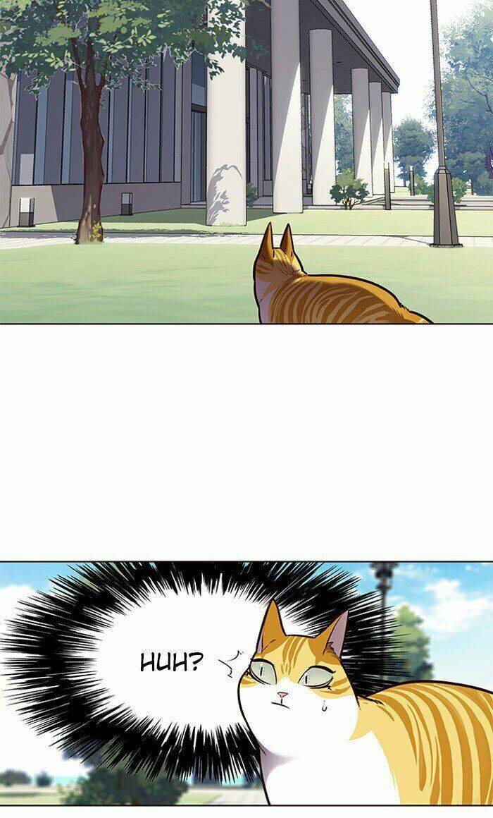 Hoá Thân Thành Mèo Chap 71 - Next Chap 72