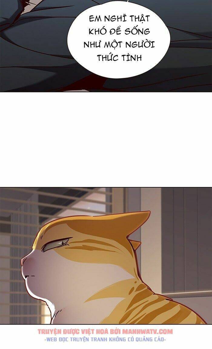 Hoá Thân Thành Mèo Chap 76 - Next Chap 77