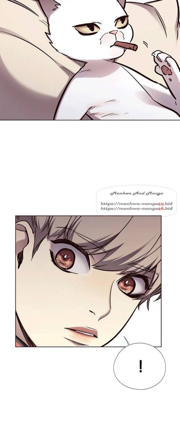 Hoá Thân Thành Mèo Chap 148 - Next Chap 149