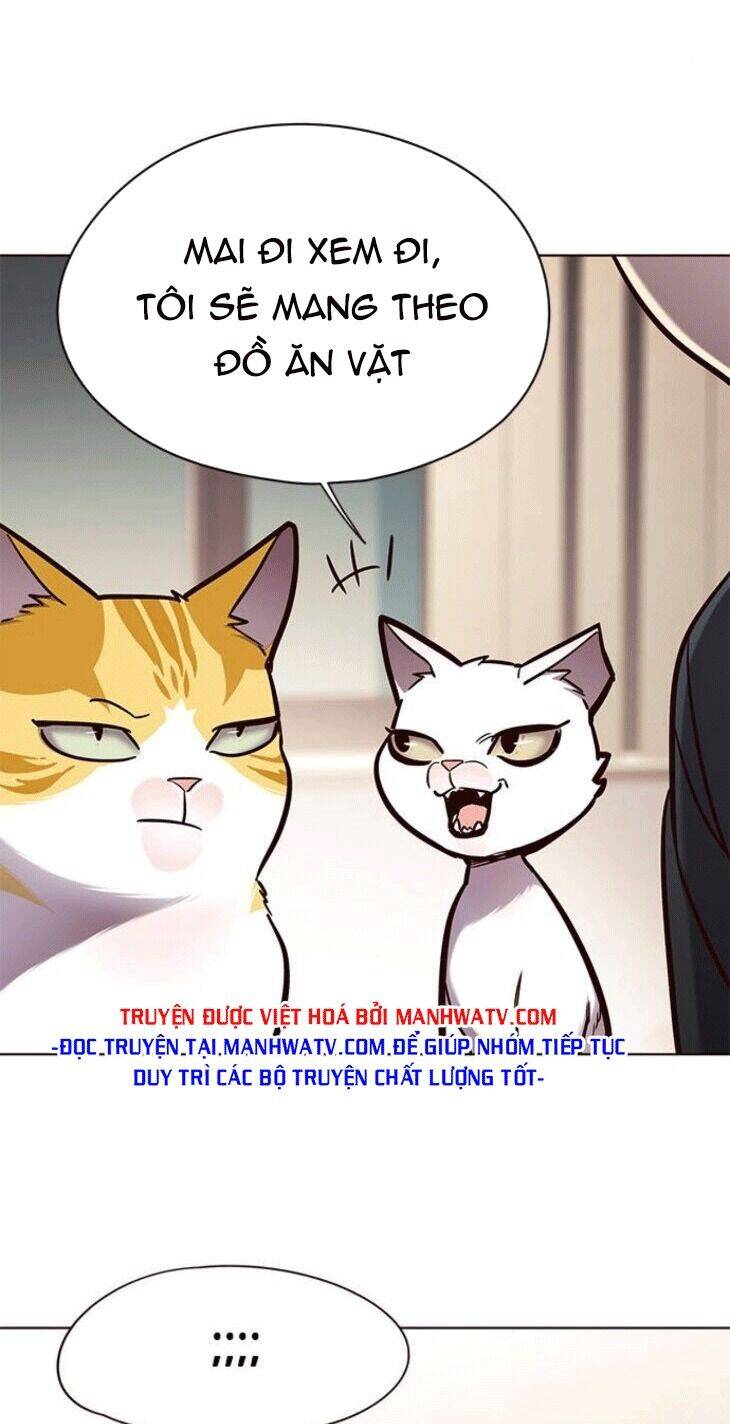 Hoá Thân Thành Mèo Chap 148 - Next Chap 149