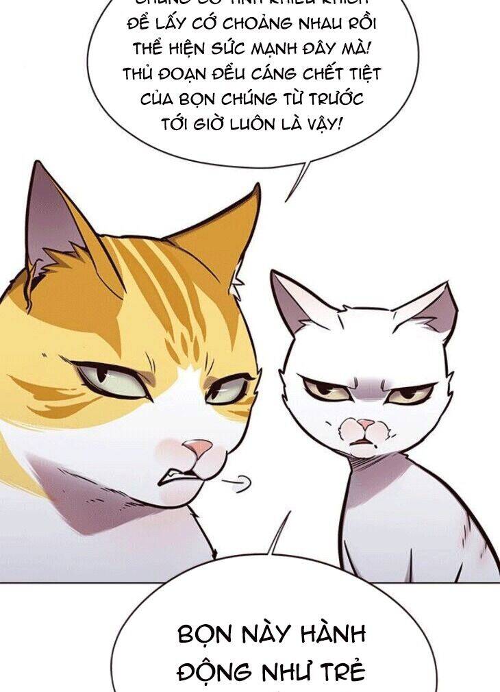 Hoá Thân Thành Mèo Chap 148 - Next Chap 149