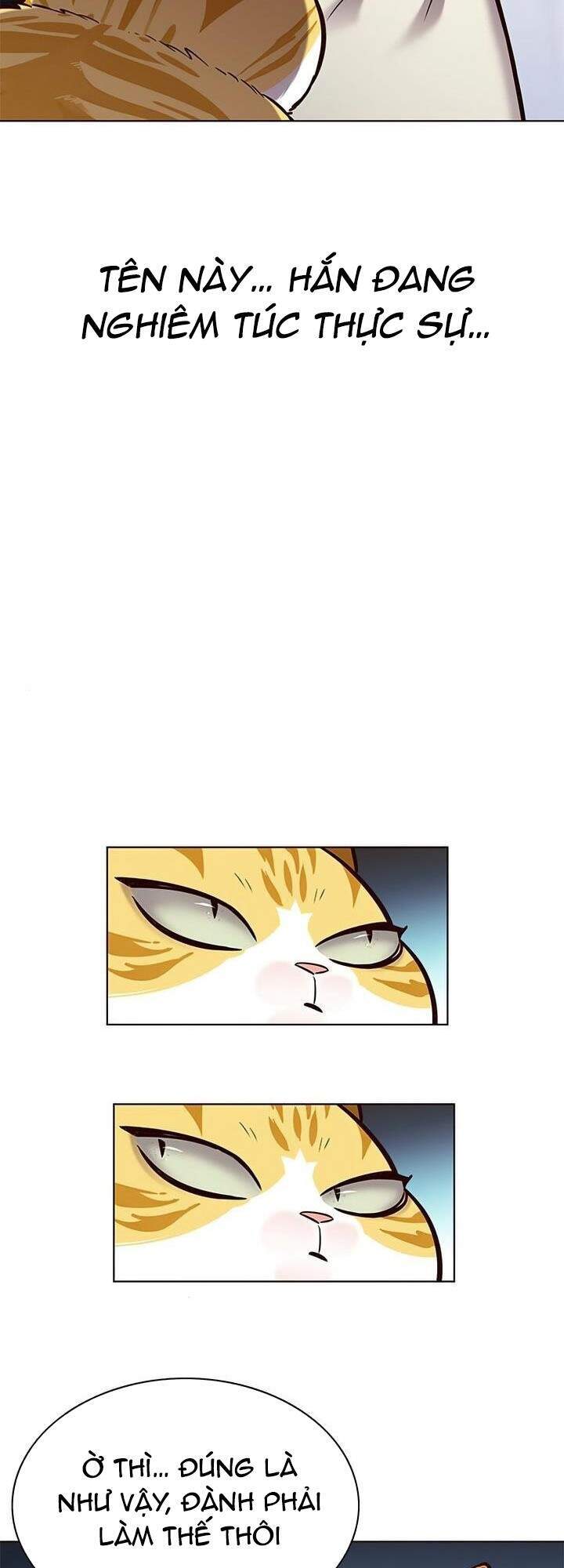 Hoá Thân Thành Mèo Chap 165 - Next Chap 166