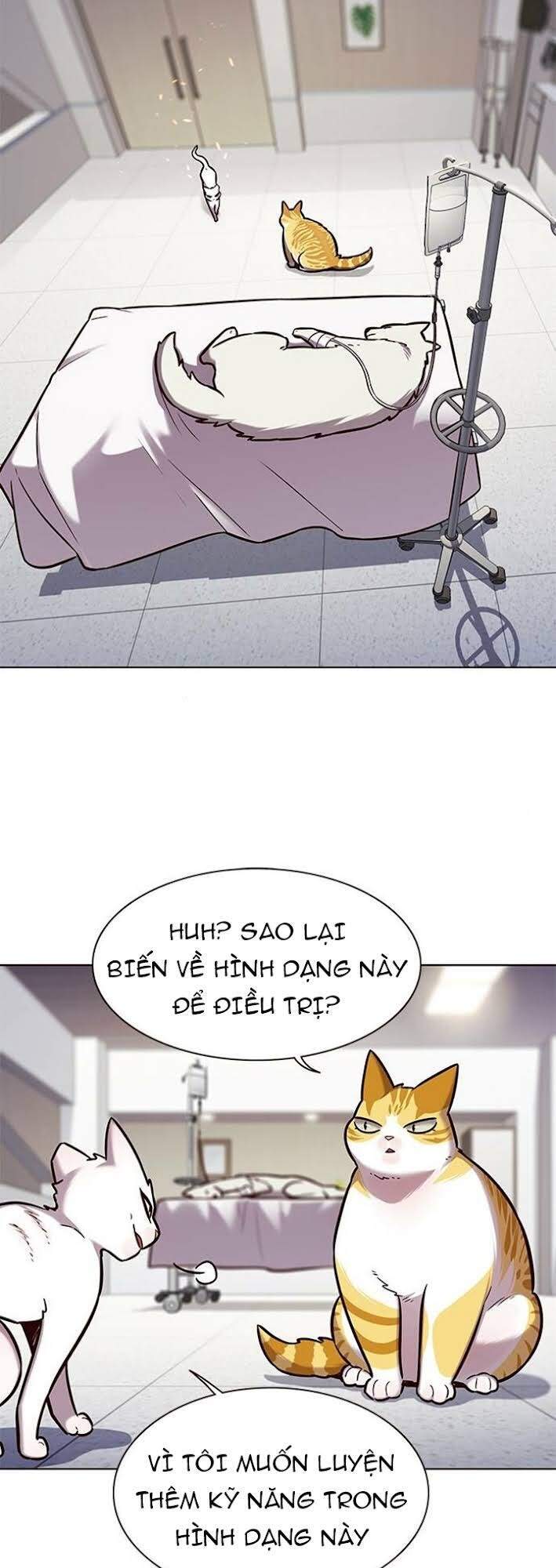 Hoá Thân Thành Mèo Chap 166 - Next Chap 167