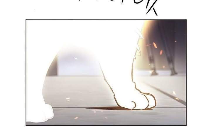 Hoá Thân Thành Mèo Chap 166 - Next Chap 167