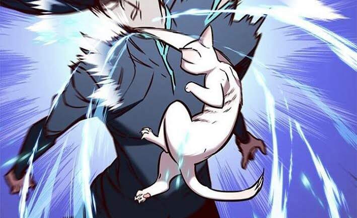 Hoá Thân Thành Mèo Chap 166 - Next Chap 167