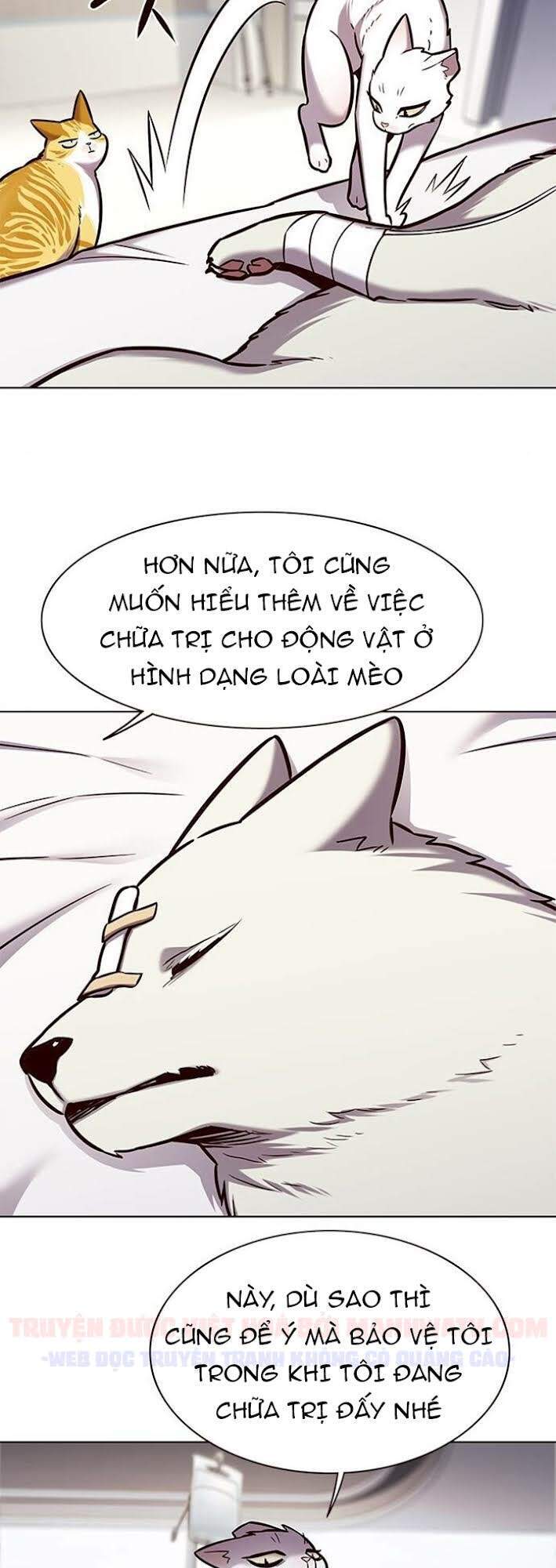 Hoá Thân Thành Mèo Chap 166 - Next Chap 167