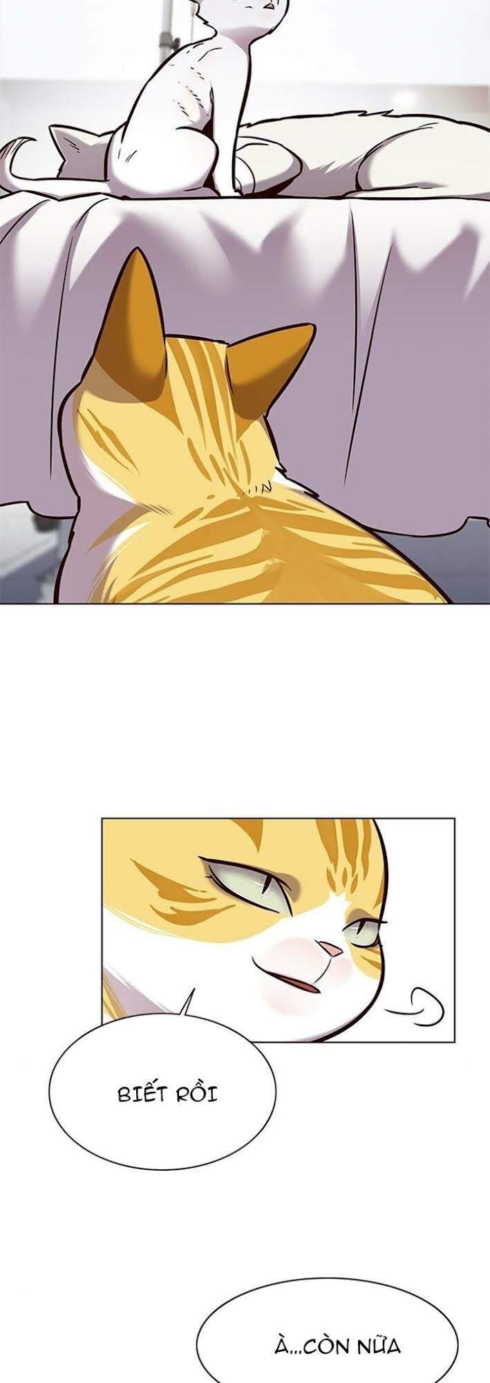 Hoá Thân Thành Mèo Chap 166 - Next Chap 167
