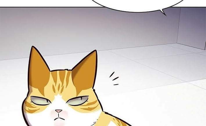 Hoá Thân Thành Mèo Chap 166 - Next Chap 167