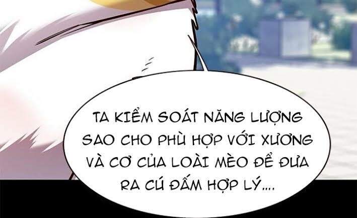 Hoá Thân Thành Mèo Chap 166 - Next Chap 167