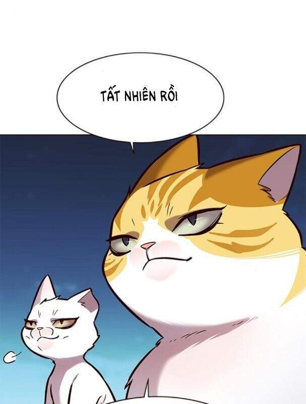 Hoá Thân Thành Mèo Chap 169 - Next Chap 170