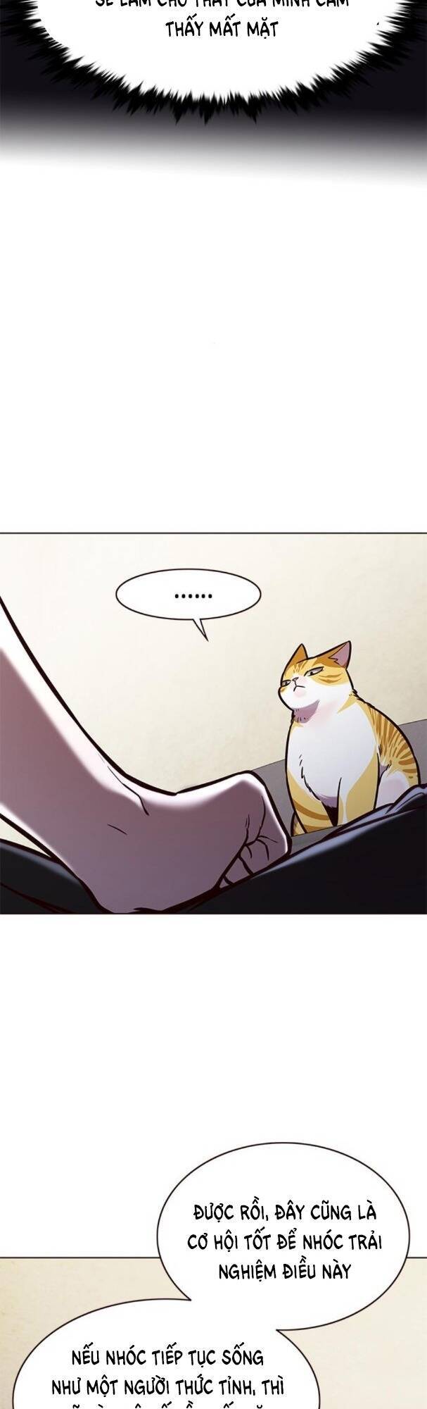 Hoá Thân Thành Mèo Chap 173 - Next Chap 174