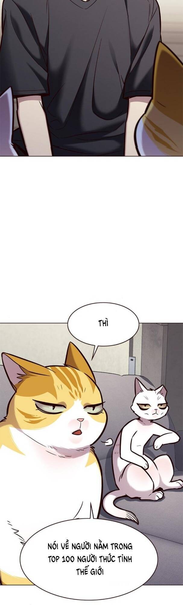 Hoá Thân Thành Mèo Chap 173 - Next Chap 174