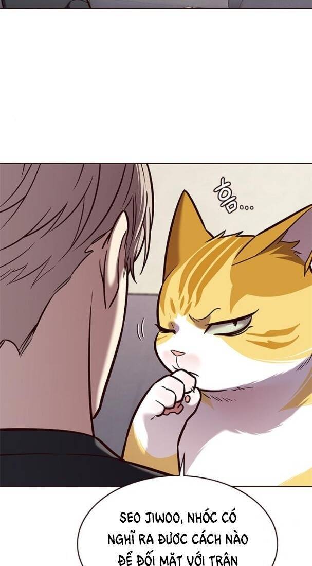 Hoá Thân Thành Mèo Chap 173 - Next Chap 174